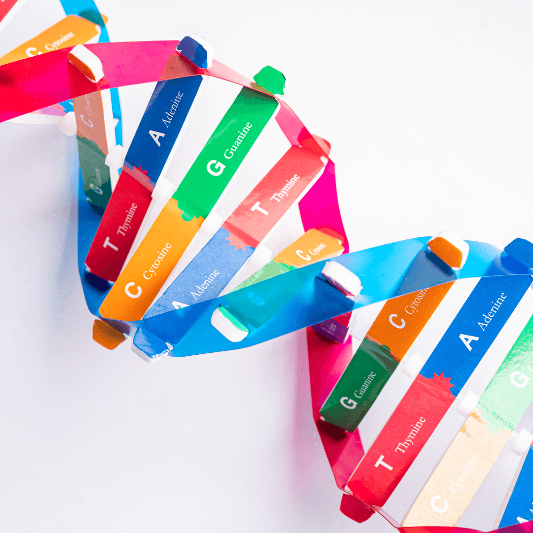 Discover Your Wellness Potential: How DNA Testing Unlocks the Secrets to a Healthier You! 🧬💪 - Happiness Harmony Hub