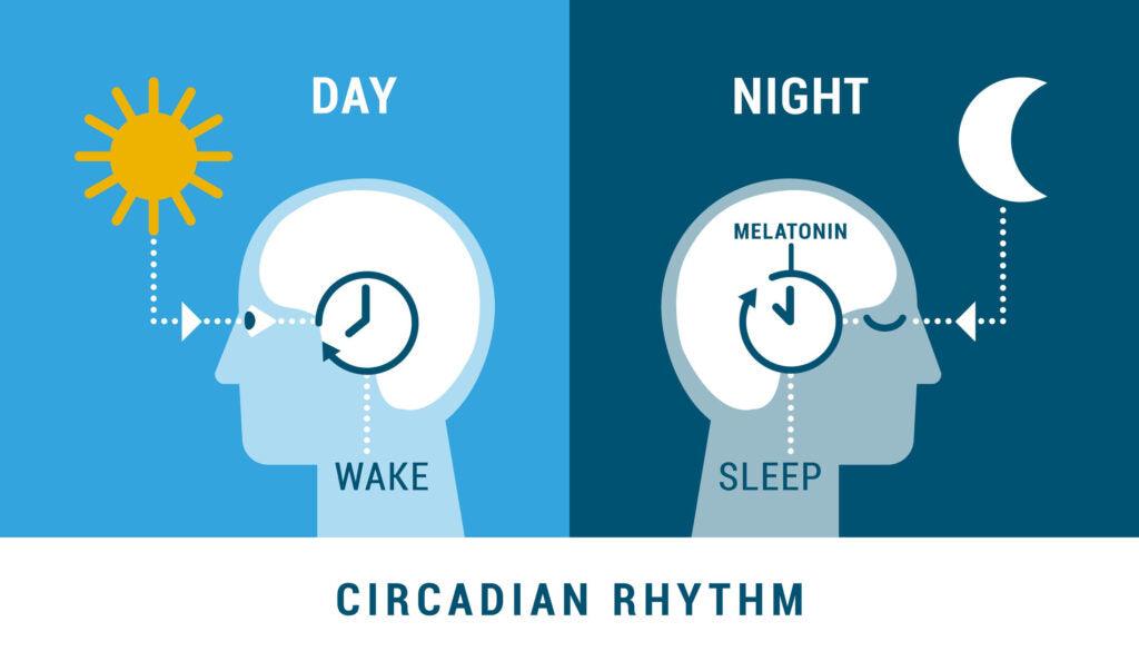 ✨ Unlock Your Best Sleep with Personalized Sleep Solutions! ✨ - Happiness Harmony Hub