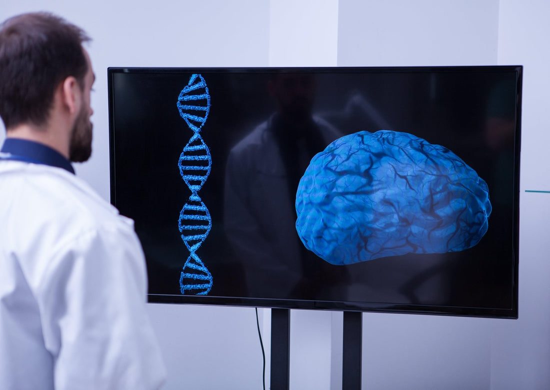 🧬 Unlocking the Brain: How DNA Methylation Shapes Memory & Learning 🧠 - Happiness Harmony Hub