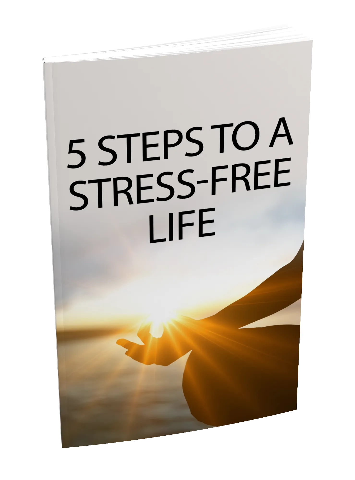 ebook on 5 steps to a stress free life