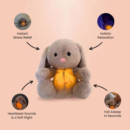 features of Calm Bunny 