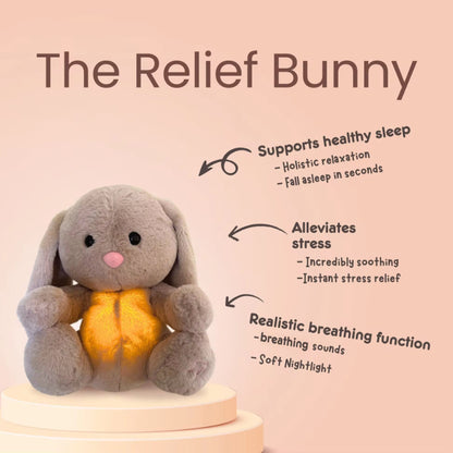 Photo of Relief Bunny