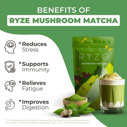 Ryze Mushroom Matcha - Happiness Harmony Hub